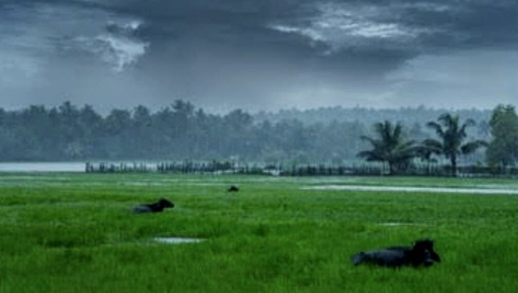 ବର୍ଷାଗୋ ତୁମେ…