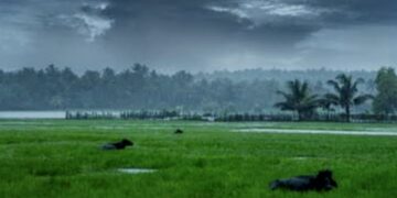 ବର୍ଷାଗୋ ତୁମେ…