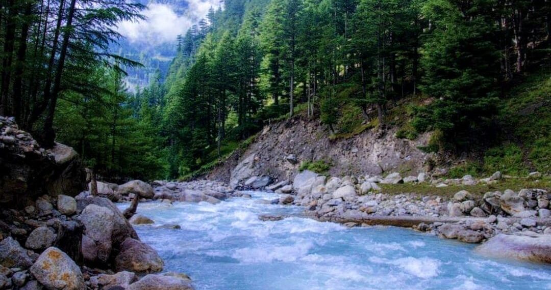 Nothing is Ever Lost