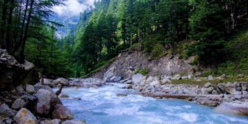 Nothing is Ever Lost