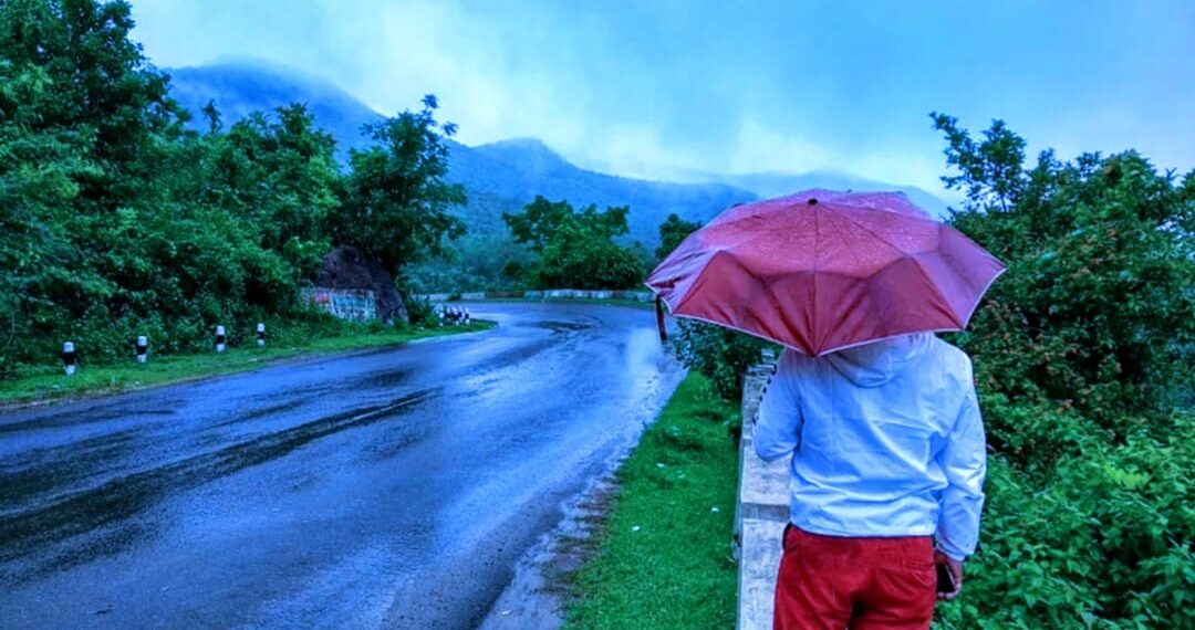 Jay’s Thoughts: Peace, Piece by Piece