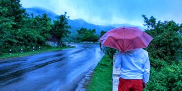 Jay’s Thoughts:  Peace, Piece by Piece