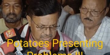 Sanctimonia Tales:Sanctimonia’s Holy Spud Crisis: Tear-Inducing Prices, Befuddled Bureaucrats, and a Royal Rebranding Spree