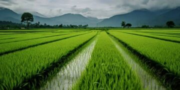 The Vulnerable Heroine