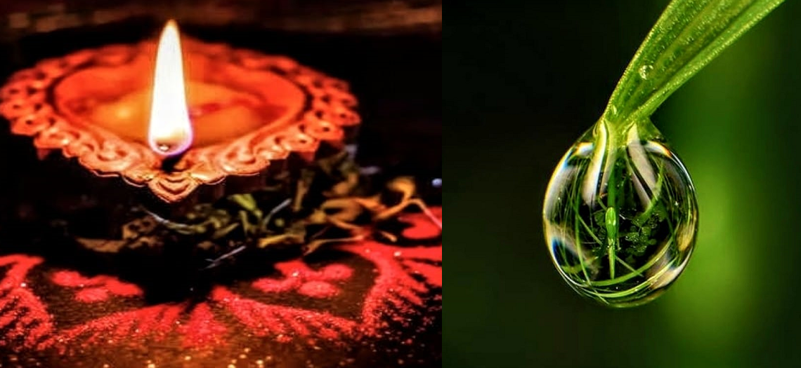 କଅଁଳ ଘାସର ଶିଶିର ଉପରେ