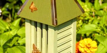 Alive in the Butterfly House