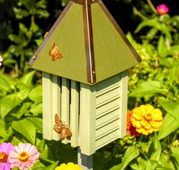 Alive in the Butterfly House