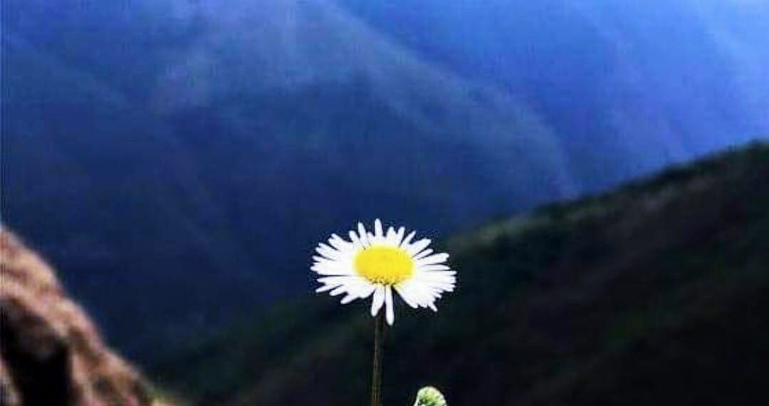 A post-birthday Poem