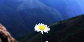 A post-birthday Poem