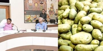 Sanctimonia Tales: Sanctimonia’s Spud Saga: King’s Steel Dreams, Bureaucratic Bedlam, and the Potato Embargo That Shook the Kingdom