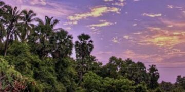 ସ୍ମୃତିର ଶ୍ରାବଣ