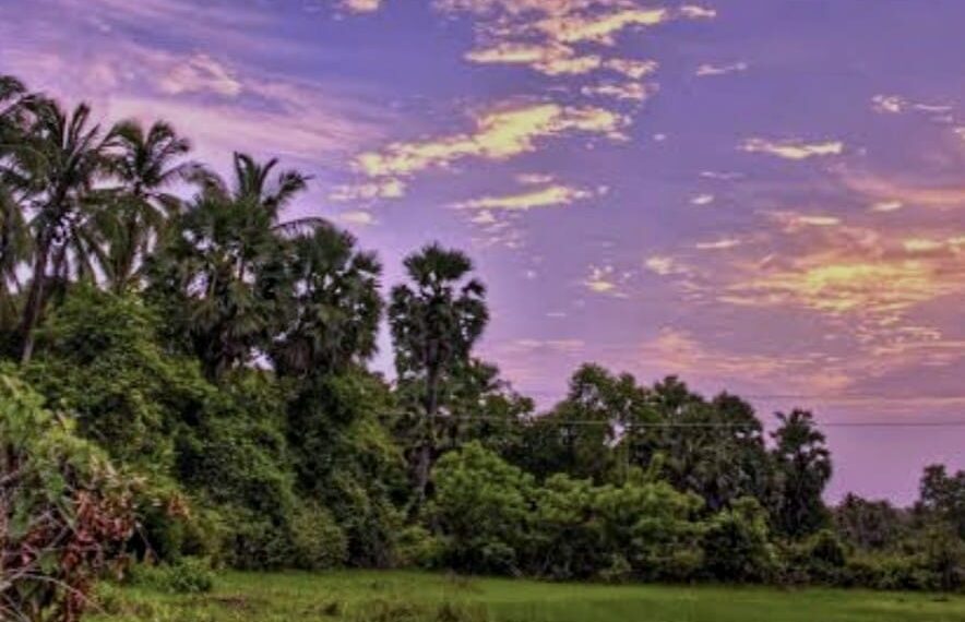 ସ୍ମୃତିର ଶ୍ରାବଣ