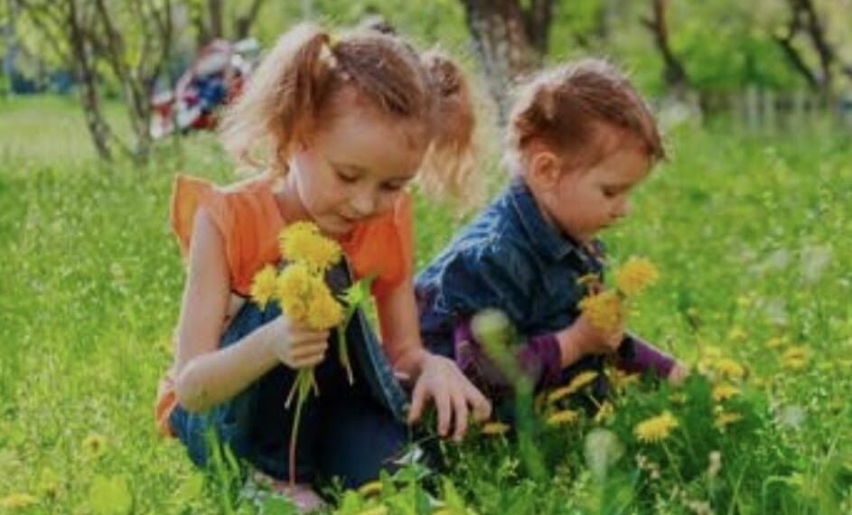 ପାଥାରପୁରୀ ହଷ୍ଟେଲ୍