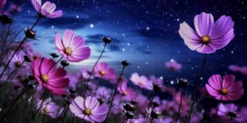 ତୁମେ ଆସିଲେ ଘରକୁ