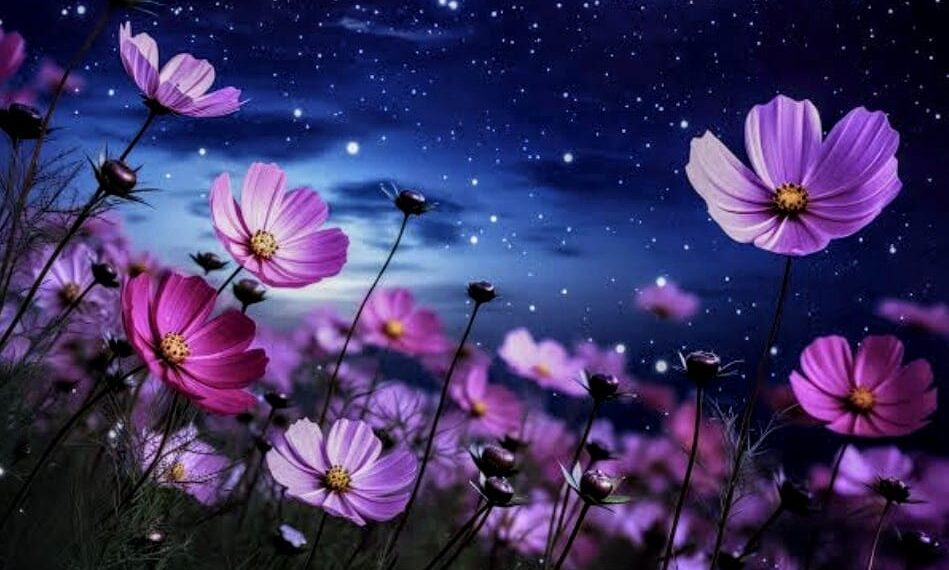 ତୁମେ ଆସିଲେ ଘରକୁ