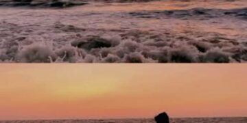 Vipul’s Voice:Theatre of Life