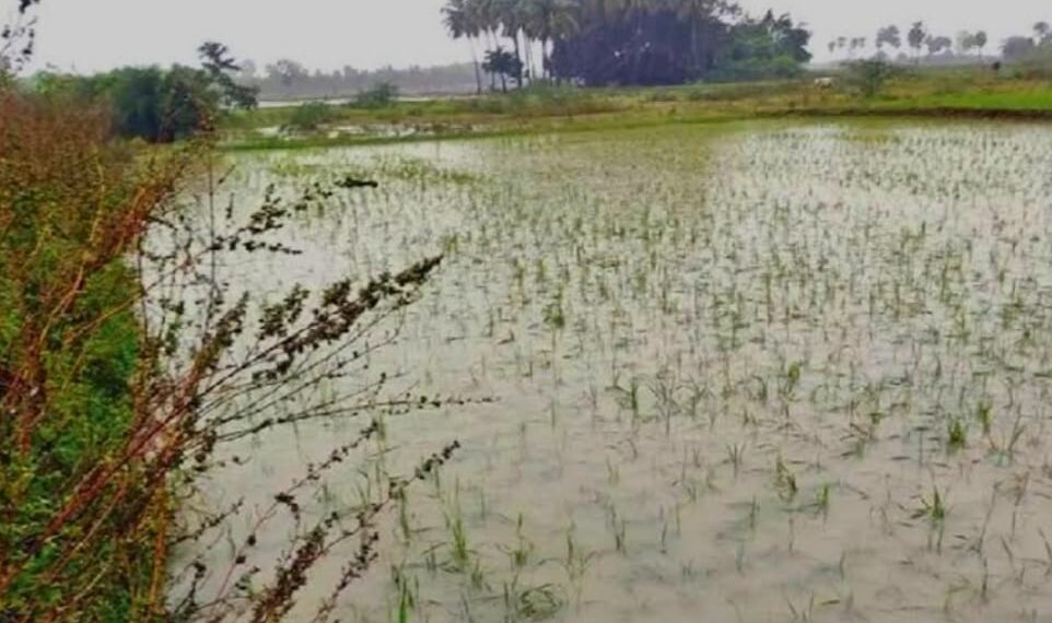 ଅଦିନ ବର୍ଷା