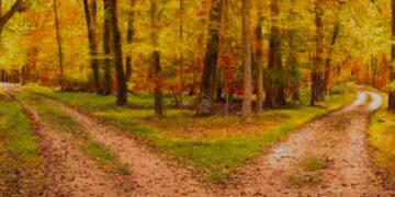 ଚାଲ‌ ଯିବା