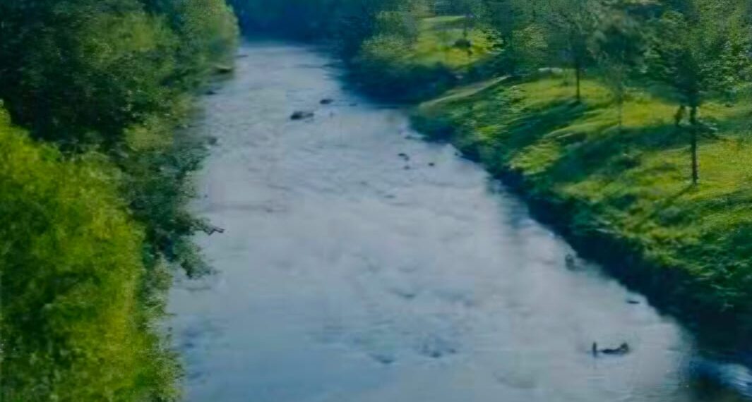 ସ୍ୱପ୍ନର କେତେ ଭିଜାଭିଜା ଦିନ