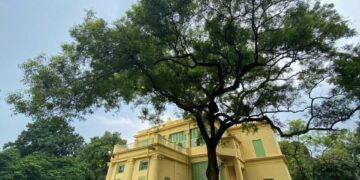 ମଝି ବାଟରେ