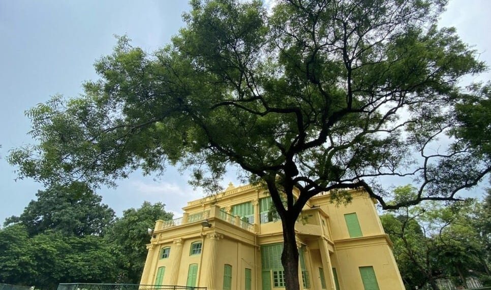 ମଝି ବାଟରେ