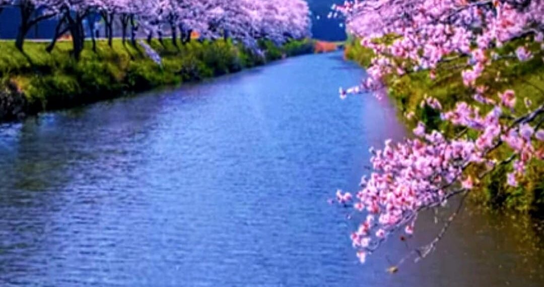 ପ୍ରେମ ଏକ ନଈ – ୫