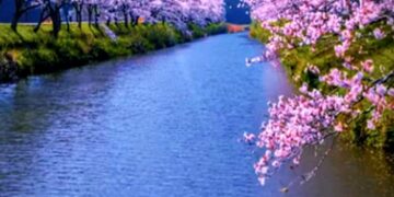 ପ୍ରେମ ଏକ ନଈ – ୫