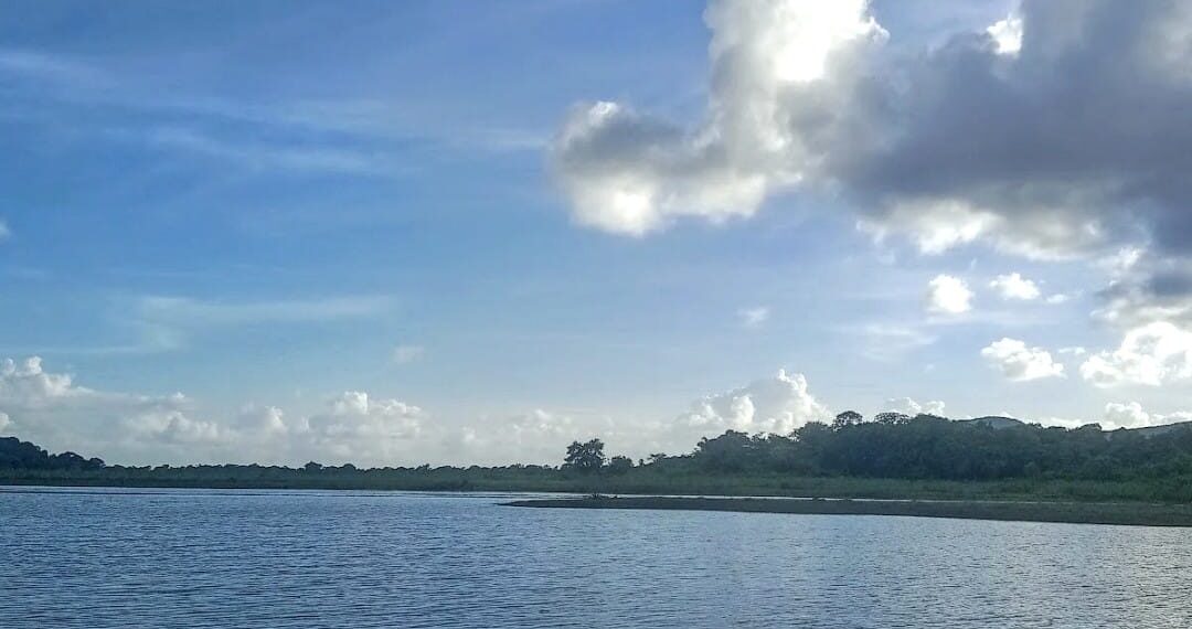 ଭଦ୍ରକ, ସାଳନ୍ଦୀ