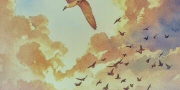 କବିତାର ପକ୍ଷୀ