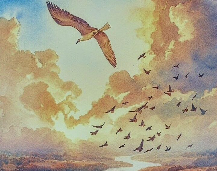 କବିତାର ପକ୍ଷୀ