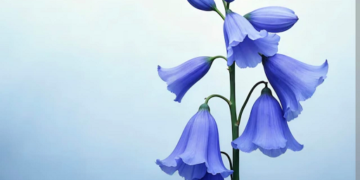 ସତରେ ଏମିତି ହୁଅନ୍ତା କି – ୨୧