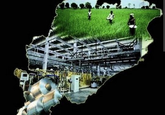 Odisha’s Two-Speed Economy: Growth at the Top, Distress at the Bottom