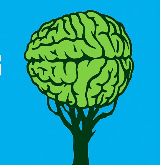 ଅନୁଭୂତି ପାଠ