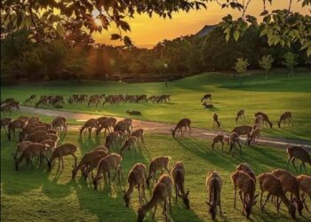 Vipul’s Voice: Herd Ego