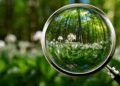 Vipul’s Voice: Crystal Clear Reality
