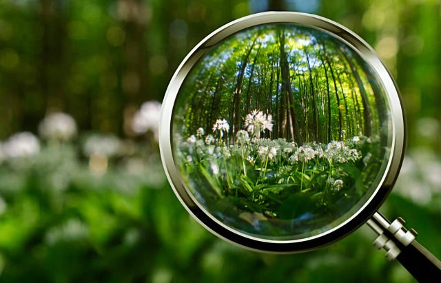 Vipul’s Voice: Crystal Clear Reality